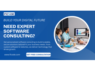 expert-software-consulting-to-build-your-digital-future-small-0