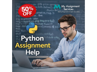 expert-coding-support-for-students-and-beginners-small-0
