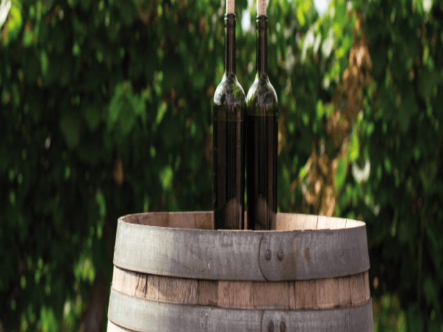 shop-quality-wine-online-in-the-uk-great-prices-selection