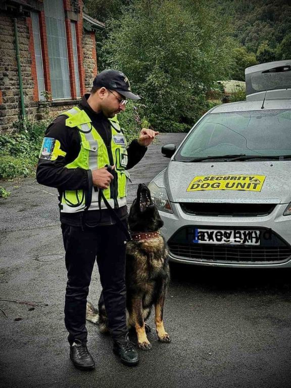 is-security-dog-guarding-the-solution-for-site-protection-big-0