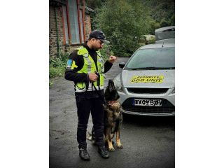 is-security-dog-guarding-the-solution-for-site-protection-small-0