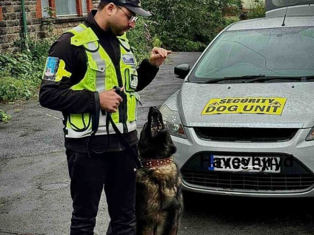is-security-dog-guarding-the-solution-for-site-protection