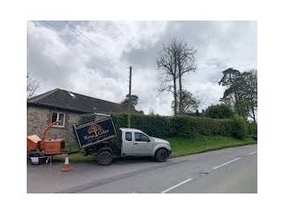 tree-surgeons-dorset-tree-surgeon-services-in-dorset-small-0