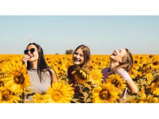 thrive-post-menopause-your-wellness-guide-small-0