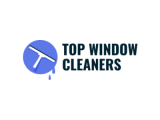 top-window-cleaners-small-0