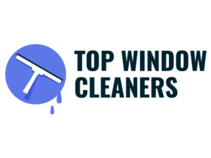 top-window-cleaners