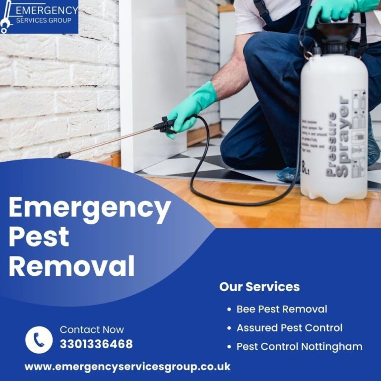 who-offers-emergency-pest-removal-services-247-big-0