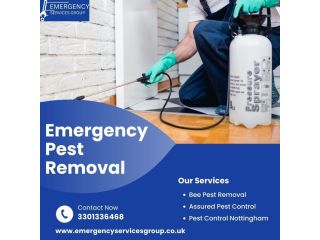 who-offers-emergency-pest-removal-services-247-small-0