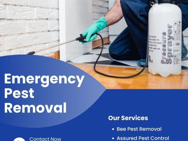 who-offers-emergency-pest-removal-services-247