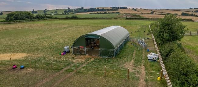 dairy-farm-housing-why-the-right-shelter-matters-big-1