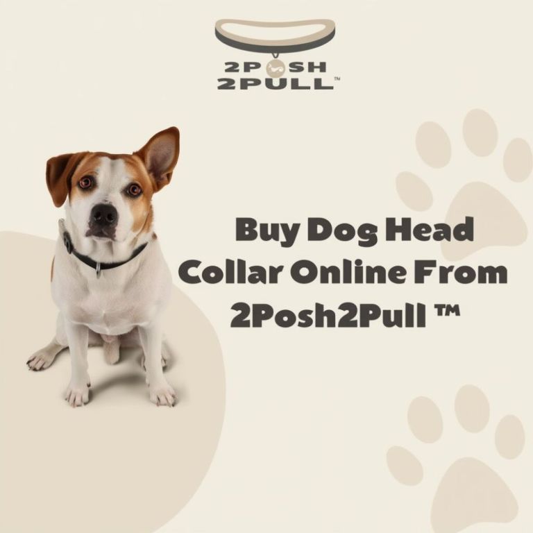 better-walks-happier-dogs-2posh2pull-big-0