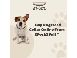 better-walks-happier-dogs-2posh2pull-small-0