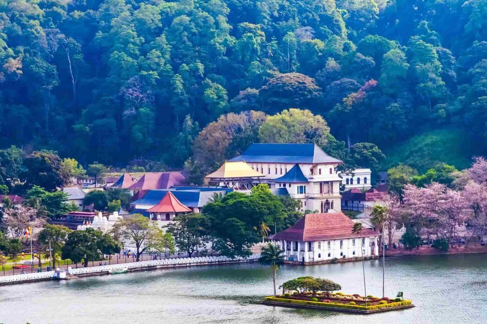 explore-sri-lanka-holidays-package-nature-and-scenic-journeys-big-0
