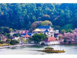 explore-sri-lanka-holidays-package-nature-and-scenic-journeys-small-0