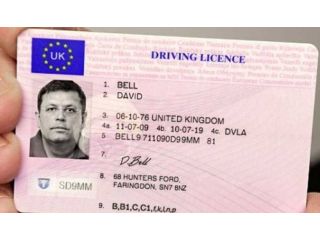 buy-id-cards-online-small-0