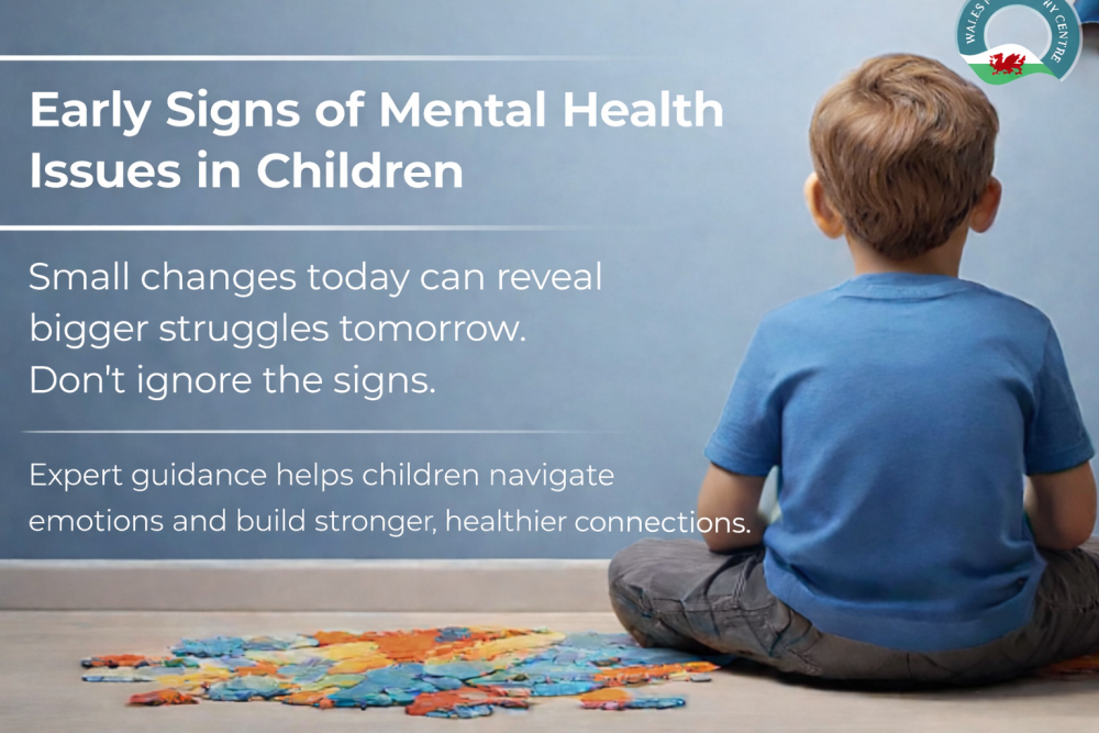 expert-child-psychiatric-car-eat-wales-psychiatric-centre-big-0