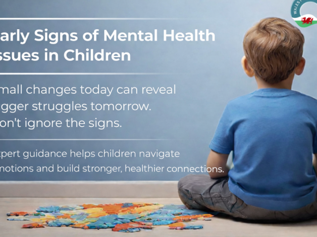 expert-child-psychiatric-car-eat-wales-psychiatric-centre