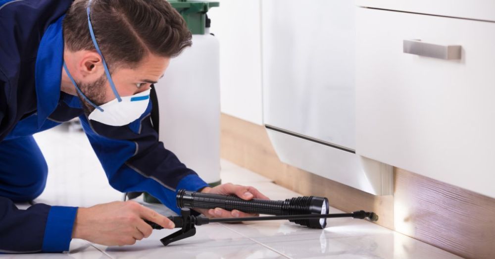 who-offers-reputable-pest-control-services-in-nottingham-big-0