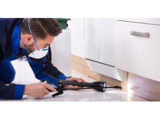 who-offers-reputable-pest-control-services-in-nottingham-small-0