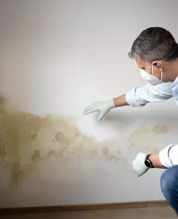 woodworm-specialist-portsmouth-pest-control-treatment-big-0