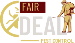 wasp-nest-removal-uxbridge-that-keeps-your-property-safe-big-0