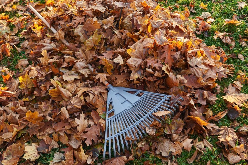 looking-for-fast-garden-clearance-services-in-manchester-big-0