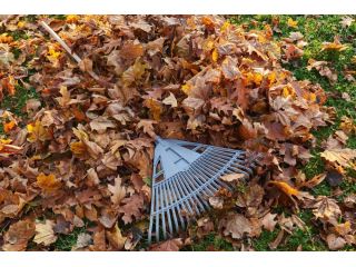 looking-for-fast-garden-clearance-services-in-manchester-small-0