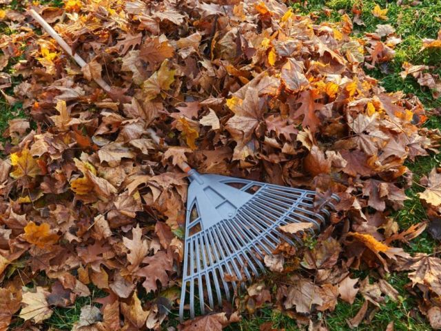 looking-for-fast-garden-clearance-services-in-manchester