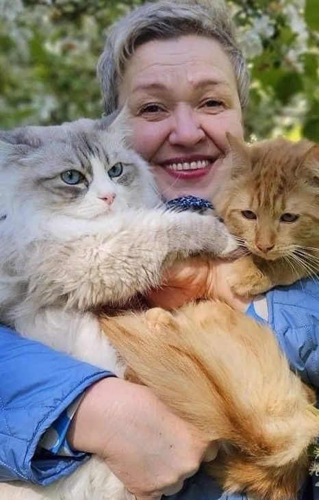 best-siberian-kitten-for-sales-big-0