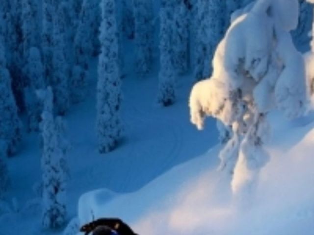 arctic-experience-in-finnish-lapland