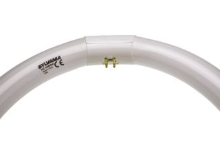 shop-circular-fluorescent-tube-bright-lighting-enrgtech-small-0