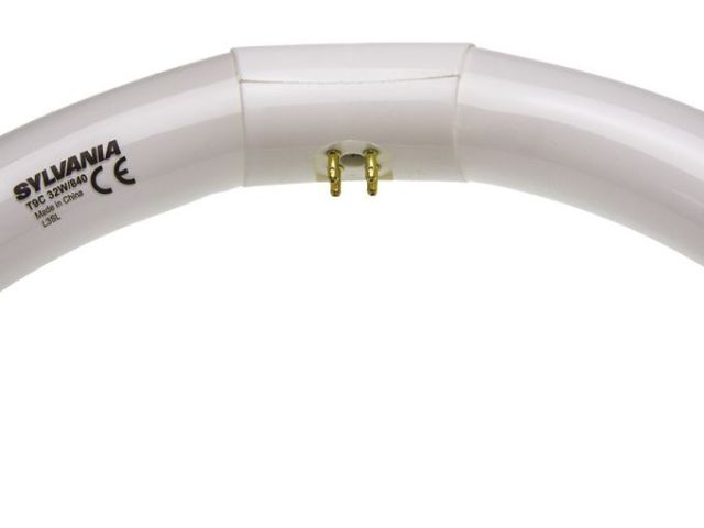 shop-circular-fluorescent-tube-bright-lighting-enrgtech
