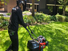 best-garden-maintenance-in-southmead