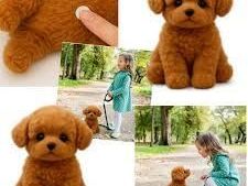 wuffy-robot-dog-reviews