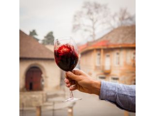 red-wine-online-premium-moravian-czech-bottles-delivered-small-0