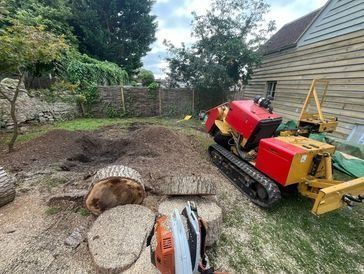 safe-tree-and-stump-removal-near-you-get-a-free-estimate-big-0