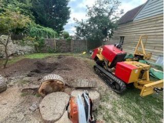 safe-tree-and-stump-removal-near-you-get-a-free-estimate-small-0