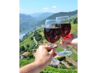 wine-tours-in-douro-valley-small-0