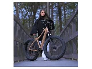 best-electric-bikes-for-sale-in-woking-uk-emovement-e-bikes-small-0