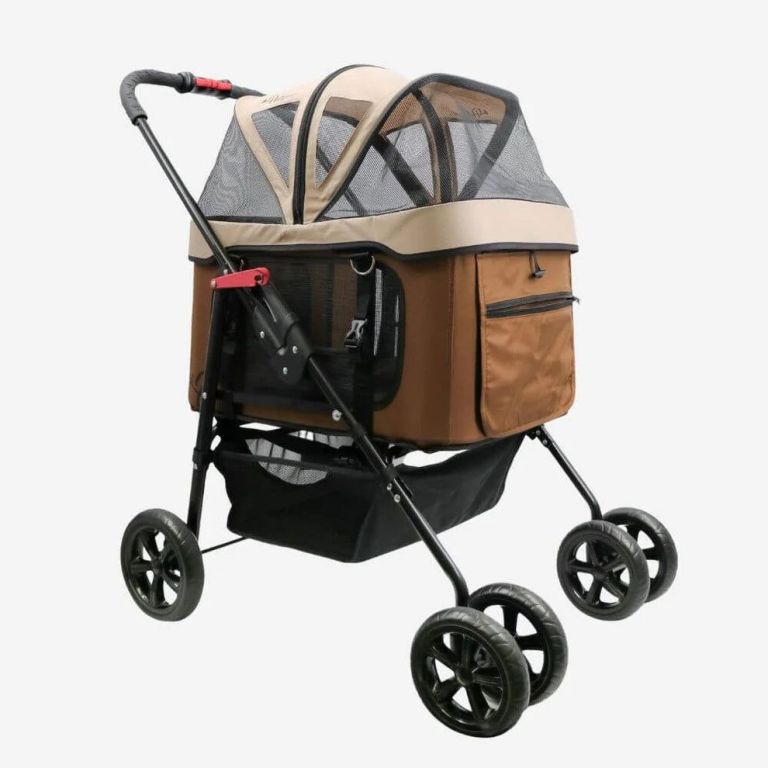 big-dog-stroller-big-1
