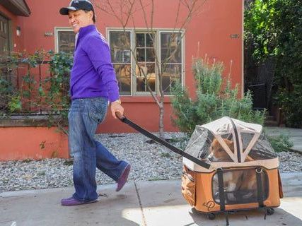 big-dog-stroller