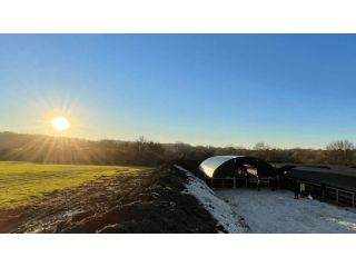 why-smart-housing-design-supports-long-term-dairy-success-small-0