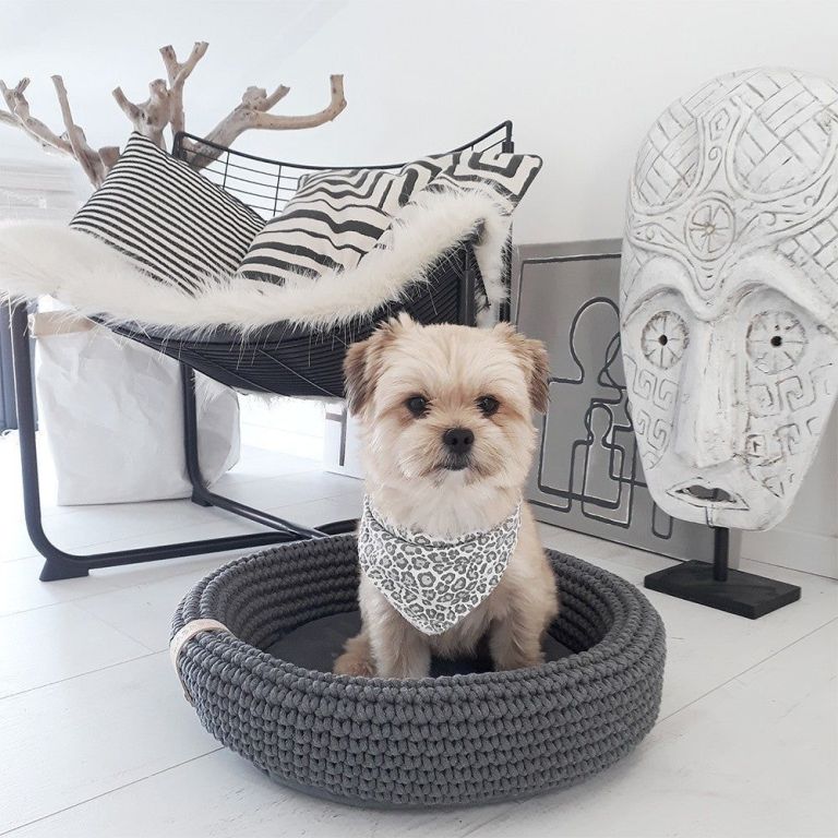premium-dog-beds-comfort-luxury-for-your-pet-big-1