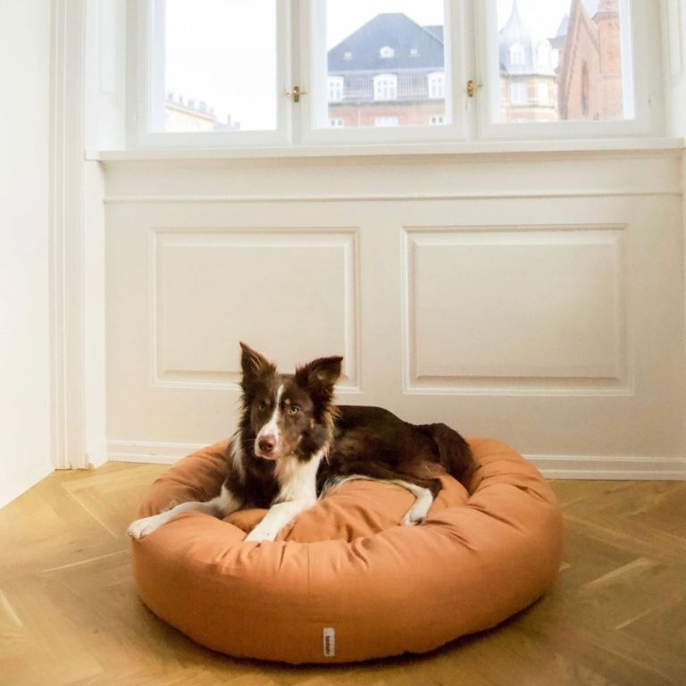 premium-dog-beds-comfort-luxury-for-your-pet-big-2