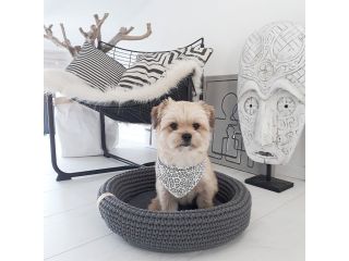 premium-dog-beds-comfort-luxury-for-your-pet-small-1