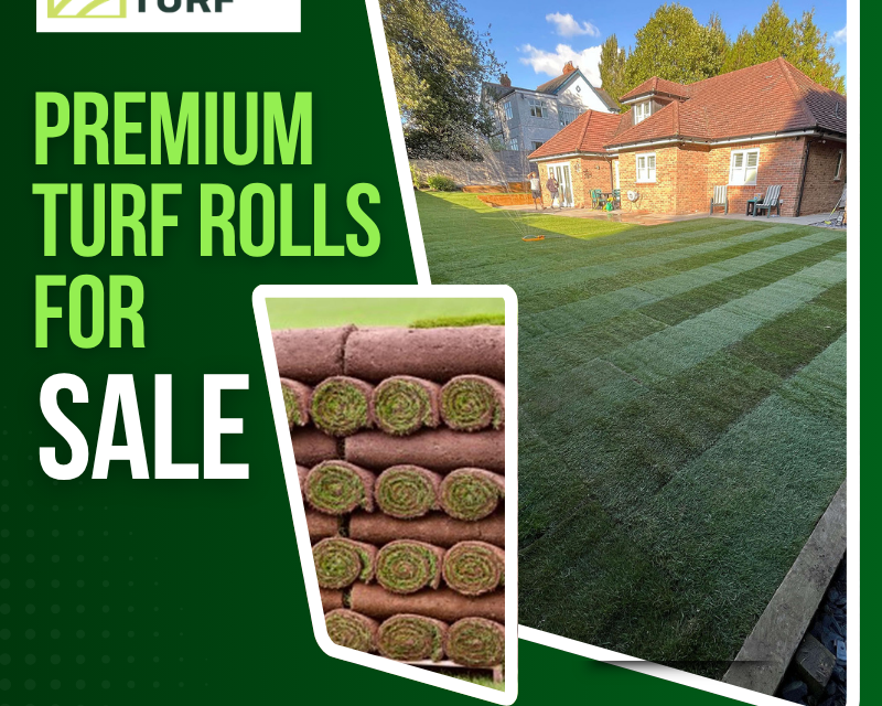 premium-turf-rolls-for-sale-fresh-grass-turf-roll-near-you