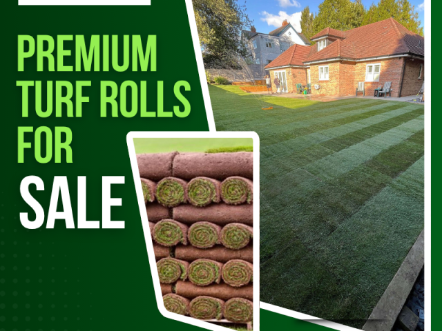 premium-turf-rolls-for-sale-fresh-grass-turf-roll-near-you