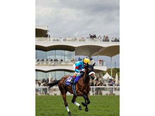 hotels-near-ascot-racecourse-with-parking-uno-hotels-small-0