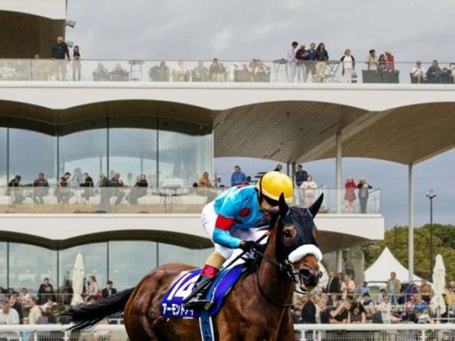 hotels-near-ascot-racecourse-with-parking-uno-hotels