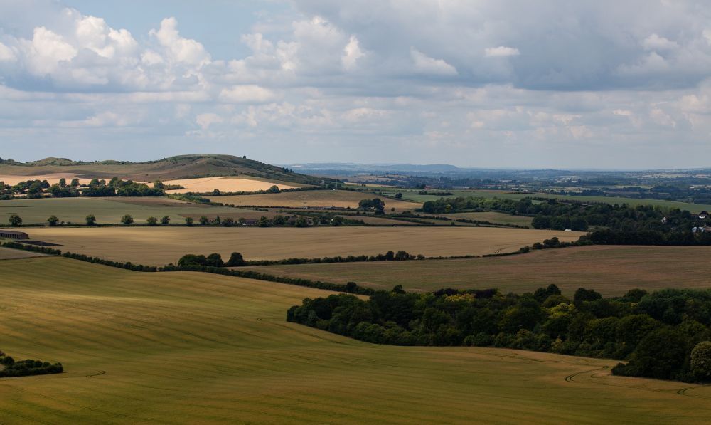building-plots-wanted-bedfordshire-big-0